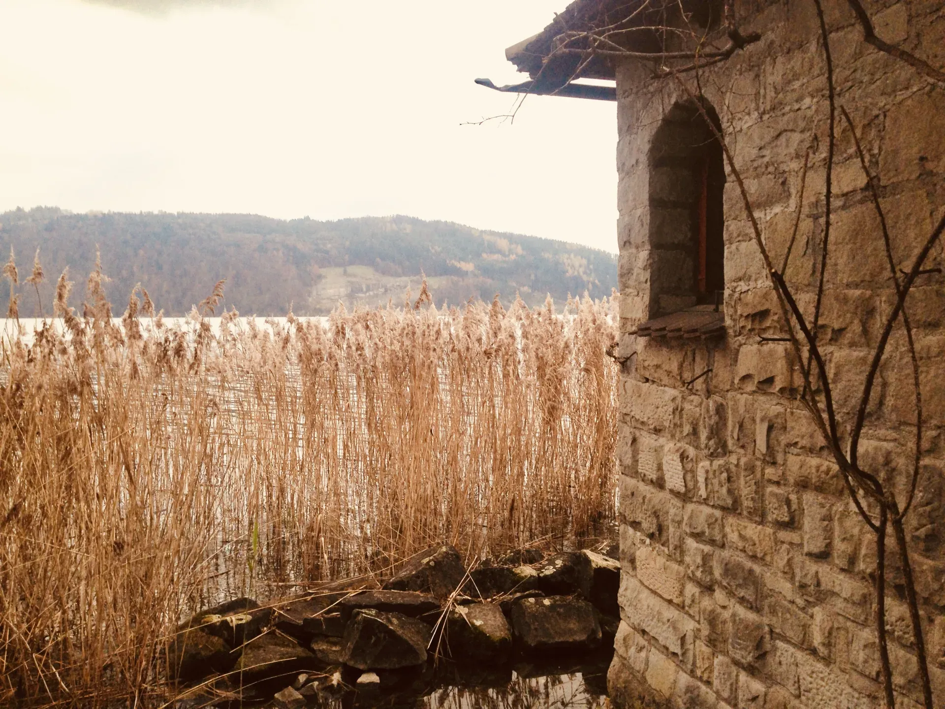 Ce que les routines d'écrivain·es nous apprennent sur la pratique